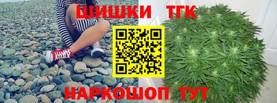 сатива Гай