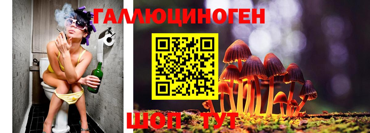 Марихуана  ГАШИШ  Канаш  ЭКСТАЗИ  Мефедрон кристаллы  АМФЕТАМИН   Вход с VPN 