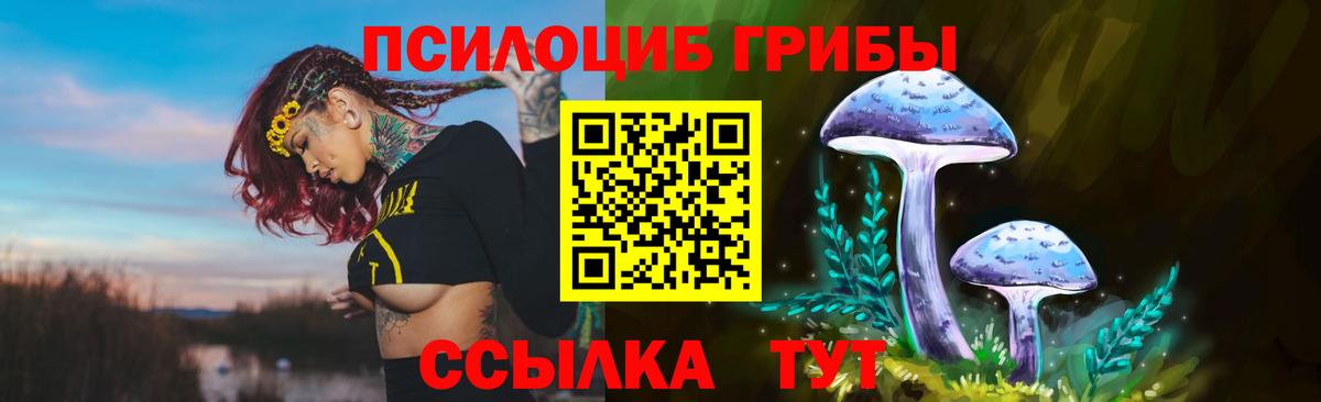 Галлюциногенные грибы ЛСД  Вход с VPN  Канаш 